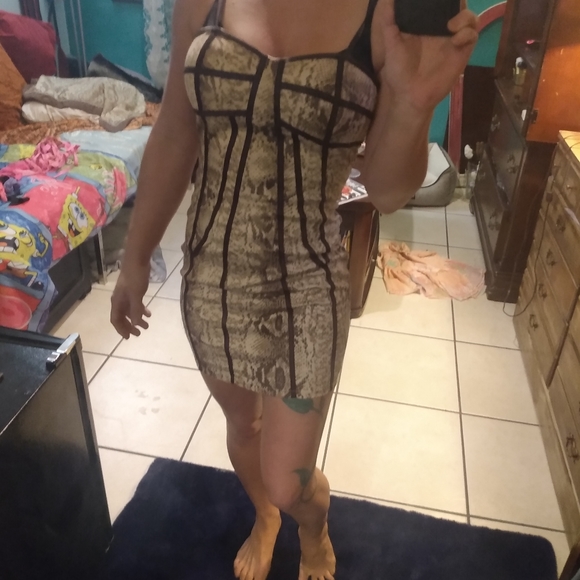 Pripe Snake Skin Bustier Bodycon Sexy Dress - Picture 8 of 12